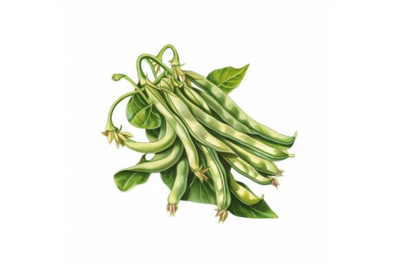 Cute Green Beans Color Splash: A Playful Digital Asset