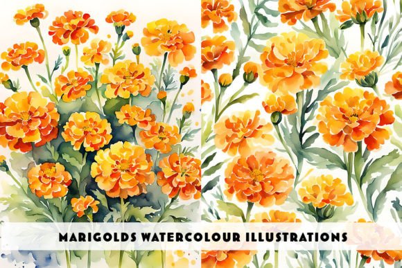 Marigold Flowers Watercolour Duo: A Designer's Guide