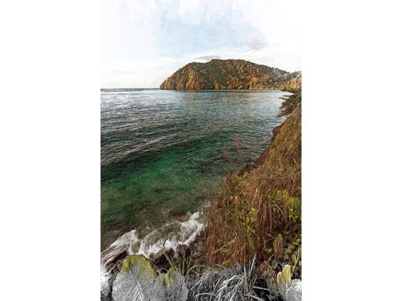 Tobago Tropical Color Sketch: A Design Asset for Vibrant Projects